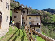 Spettacolo di fiori ai prati della Pigolotta di Valtorta-26 aprile 2025 - FOTOGALLERY